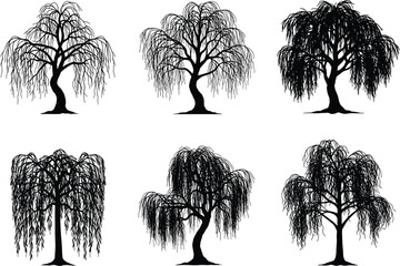  features six illustrations of willow trees, presented in a black and white format. Here’s a detailed explanation of the elements © MstNurJahan