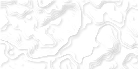 Seamless grid landscape white and gray area curve topography elevation map design. wave diagram contour stripe spiral composition discovery paper surface design.