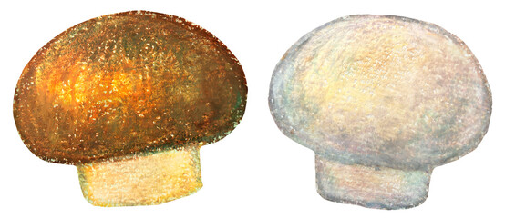 マッシュルームのイラスト オイルパステル画