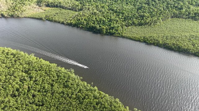 Aerial view of the Varadouro Canal and mangrove vegetation - on the right, Superagui Island.
