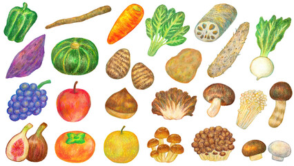 秋の食べ物のイラストセット オイルパステル画