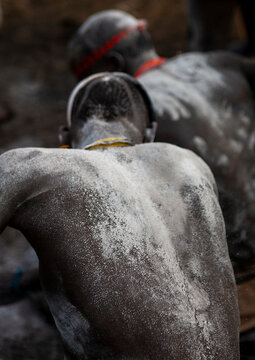 Bodi tribe men putting ashes during Kael cceremony, Omo Valley, Hana Mursi, Ethiopia