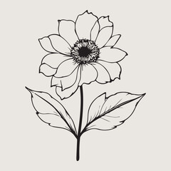 abstract flower background