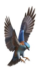 Fototapeta premium Detailed illustration depicts a vibrant blue and brown feathered bird descending with wings fully spread