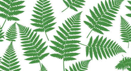 Green fern leaves seamless pattern vector clipart, botanical foliage background illustration © azad