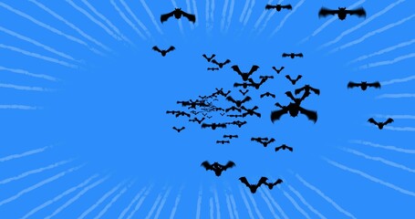 Soaring clustered black bat silhouettes filling bright blue sky, showing radial light streaks