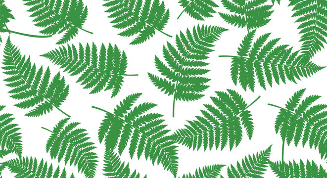 Green fern leaves seamless pattern vector clipart for botanical backgrounds and nature design