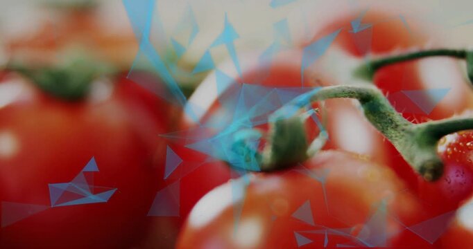 Red tomato cluster filling frame, blue triangles appearing, drifting, camera sliding showing drops