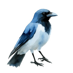 Fototapeta premium watercolor vector of Single Crow Misty Morning, isolated on a white background.