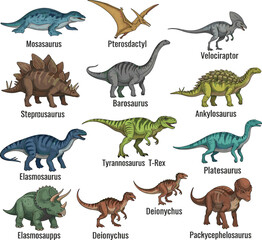 Collection of labeled dinosaurs including Tyrannosaurus Rex Velociraptor Stegosaurus and Triceratops colorful educational illustration © sumi