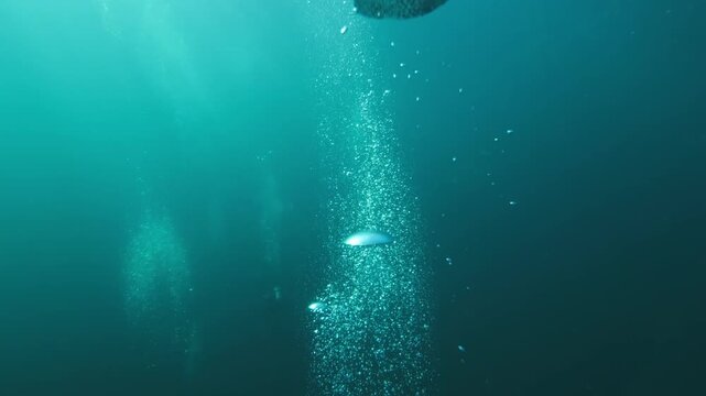 Slow-motion underwater footage moving through rising air bubbles in deep blue ocean water. Abstract marine scene with dynamic motion and natural light refraction.