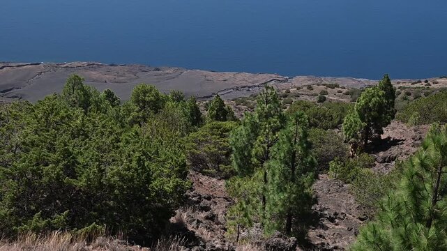 Panor&aacute;mica de la costa de El Hierro con pinar y oc&eacute;ano Atl&aacute;ntico