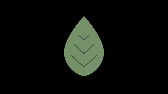 Clean, minimalist green leaf icon for various video productions, animated sequences, nature-themed content, and eco-friendly graphic overlay elements
