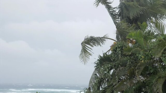 Ouragan en guadeloupe