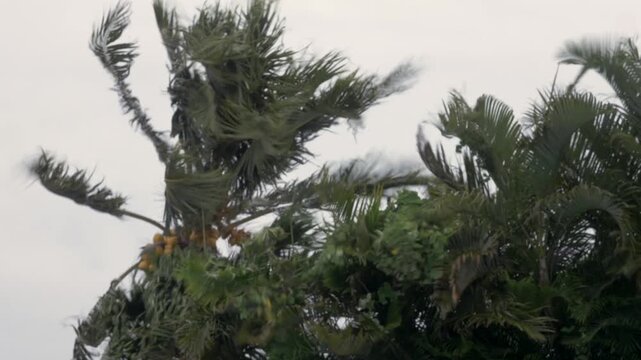 Ouragan en guadeloupe