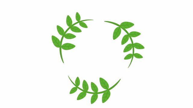 Symmetrical green leaf laurel wreath frame isolated on transparent background. Minimalist botanical circular border with three leafy stems. Organic nature frame for eco-friendly and recycled ornament.