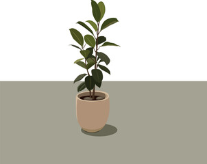 vector illustration of a houseplant in a pot
