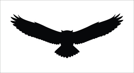 Obraz premium A striking black silhouette of a bird with outstretched wings silhouette