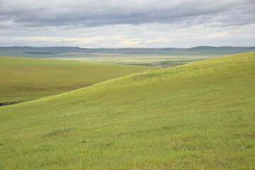 Fototapeta premium landscape with green grass and blue sky