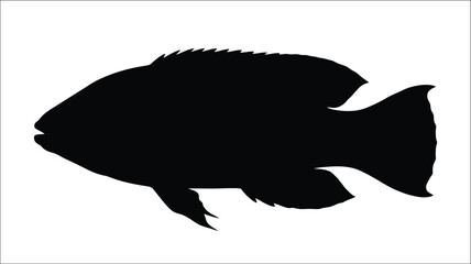 A striking black fish outline against a white background silhouette © MdMosharef