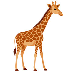 Fototapeta premium Cute African Giraffe isolated on white background. Side view. Vector illustration.