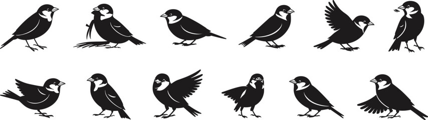 Small bird silhouettes collection sparrow chickadee tit songbird vector set flying standing perched wildlife illustration isolated design elements © SHARMIN