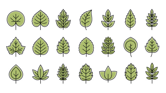 Collection of diverse green leaf icons in a simple line art style representing various tree and plant species for nature designs.