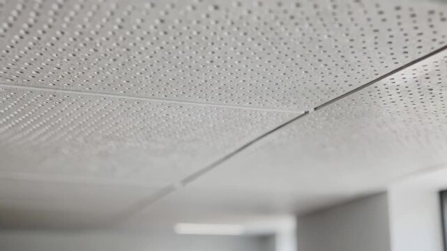 Medium shot showing budgetfriendly perforated ceiling panels detailed focus on panel surface texture with diffused background hinting at affordable acoustic improvements.