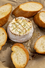 oven-fried round soft white cheese in a mold with pieces of crispy baguette with spices, delicious cheese with mold and wheat flour baguette with natural spices