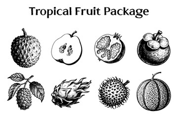 Tropical fruit Icon set for food packanging, Handdrawn style