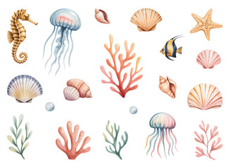 Ocean creature watercolor elements for mermaid birthday decor. Sea life illustration set with octopus, shells and starfish. © Songrami