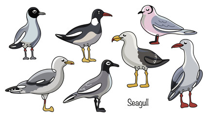 Seven seagulls