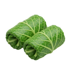 Fototapeta premium Gourmet Stuffed Green Cabbage Rolls or Sarma Isolated on Transparent Background Food Illustration PNG