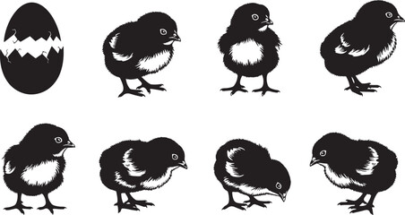 A collection of monochrome graphic illustrations showing baby chicks, from a hatching egg to various playful hatchlings, symbolizing new life and growth