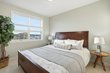 Bedroom with a large bed and a plant in the corner