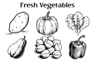 Healthy food instagram carousel template