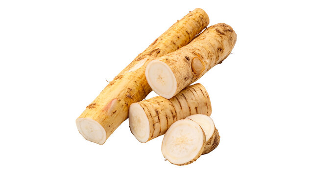 cut horseradish root pieces isolated on transparent background