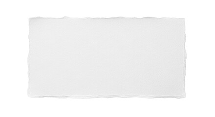 Rough edged paper texture isolated PNG, blank watercolor paper with deckle edge for graphic design...