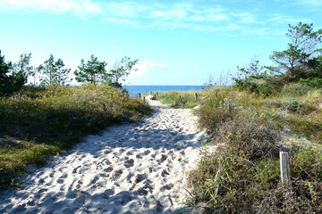 Strandweg, Vegetation, Bewuchs, Sand, Meer, Himmel