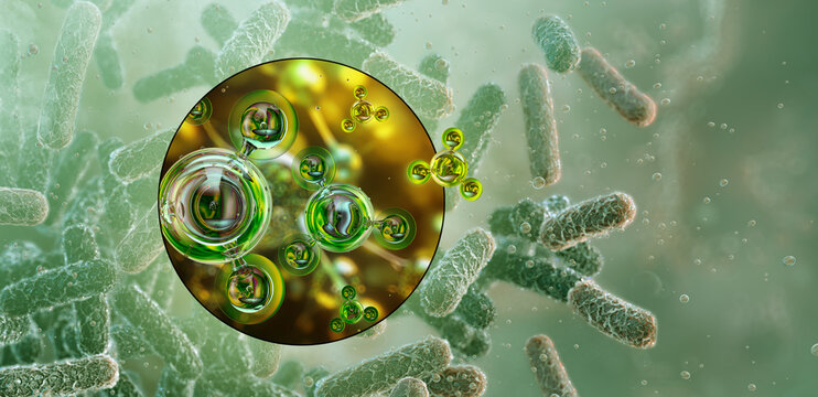 Rhizobium and Azotobacter bacteria: nitrogen fixation and ammonia synthesis in soil. 3D visualization of diazotroph metabolism and molecular NH3 conversion. Agricultural biotechnology, soil science