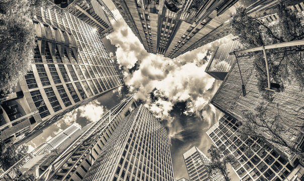 Fisheye view of city skyscrapers