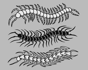 centipede tattoo design set