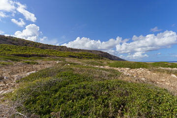 Obraz premium Sweeping Panoramic Overview of the Rugged Punta Minnola Coastline on Levanzo Island