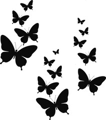 Collection of black butterfly silhouettes in various sizes and positions on a white background © Mukta