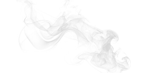 White smoke plumes swirling dynamically on a deep black background abstract vapor movement elegant misty texture