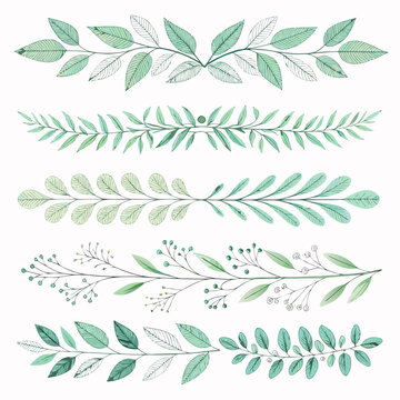 Set of delicate green leaves and branches arranged in various floral patterns on a clean white background from a straightforward viewpoint