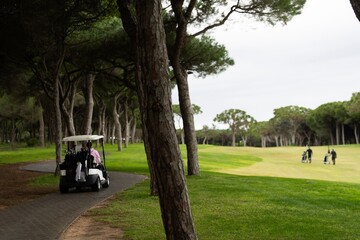  Golfers Playing on a Green Course with Trees