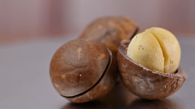 video of a macadamia nut in its shell