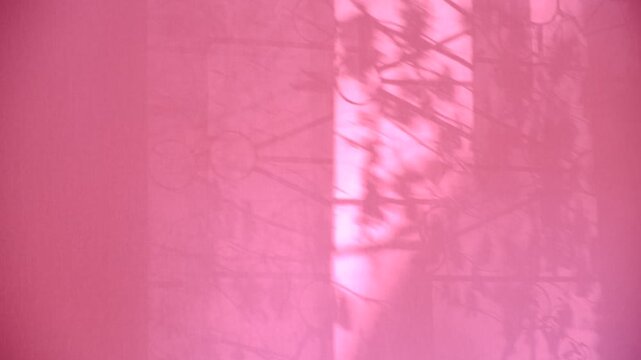 Shadow of big arched window. Window and sunlight, moving shadows on pink coral background with casting floral shadows. Minimal vintage interior decoration. Autumn style aesthetics