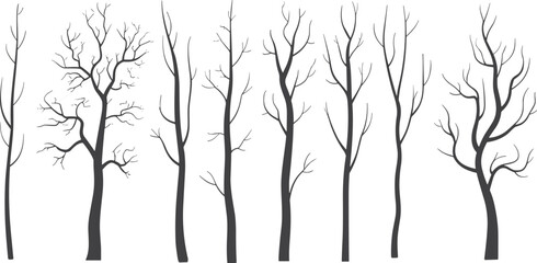 Collection of minimalist bare tree silhouettes with leafless winter branches for nature forest illustration, botanical graphics, and modern design projects © Kongcon